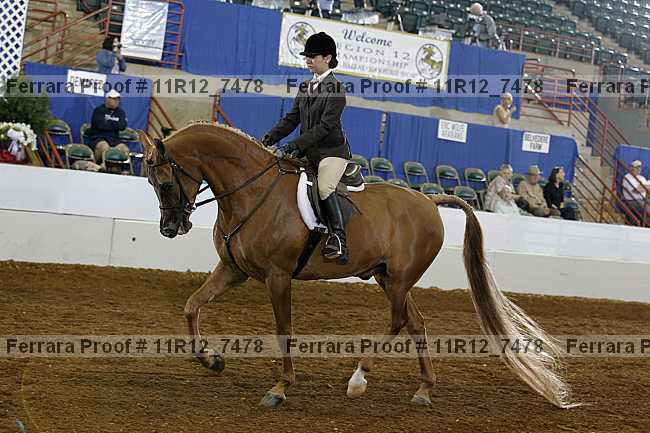 Proof Number 11r12_7478