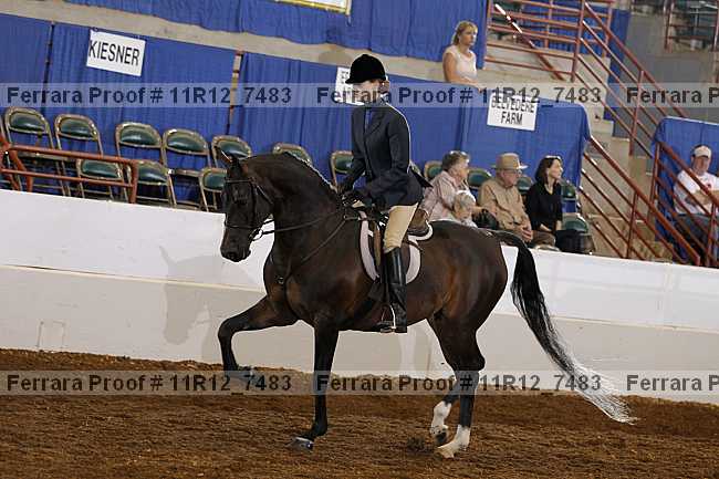 Proof Number 11r12_7483