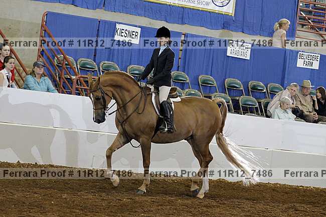 Proof Number 11r12_7486