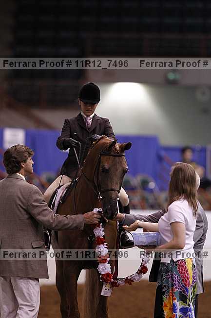 Proof Number 11r12_7496
