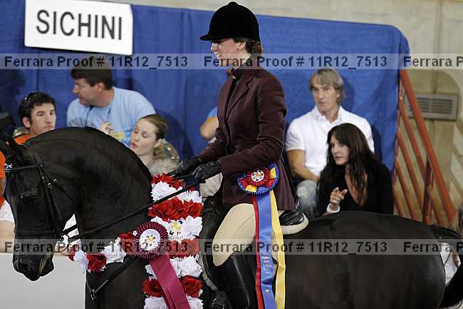 Proof Number 11r12_7513