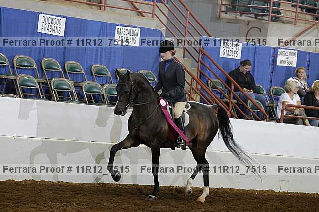 Proof Number 11r12_7515