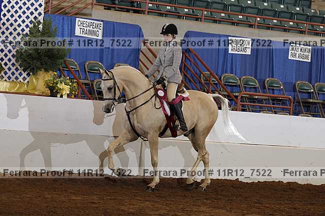 Proof Number 11r12_7522