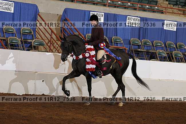 Proof Number 11r12_7536
