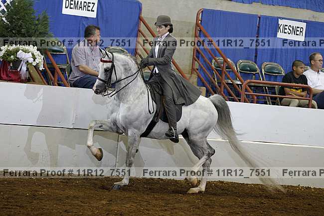 Proof Number 11r12_7551