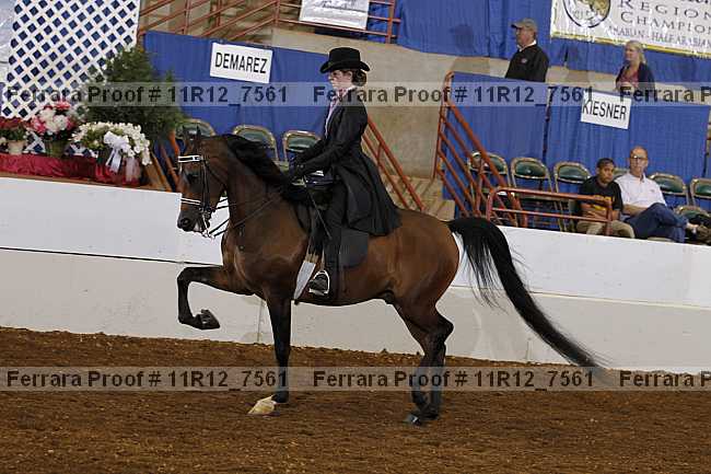 Proof Number 11r12_7561