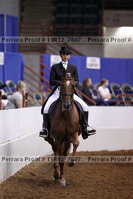 Proof Number 11r12_7607