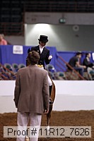 11r12_7626 thumbnail