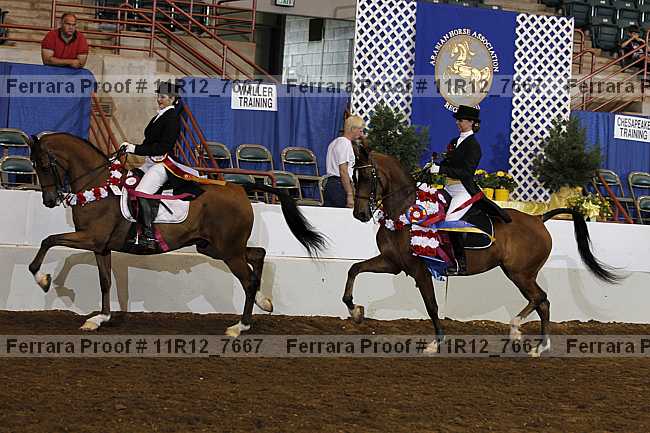 Proof Number 11r12_7667