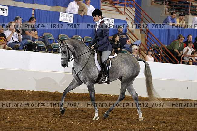 Proof Number 11r12_7687