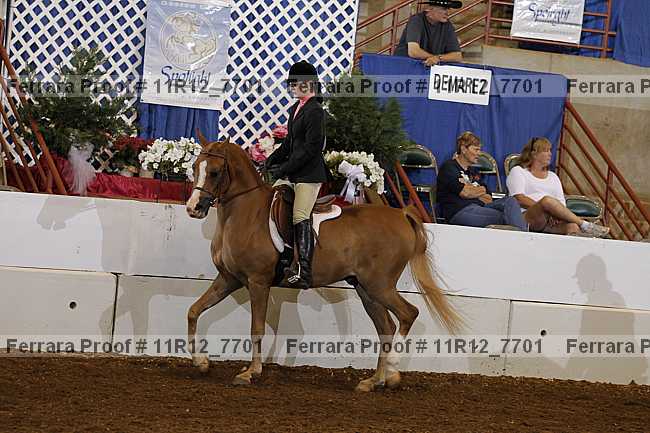 Proof Number 11r12_7701