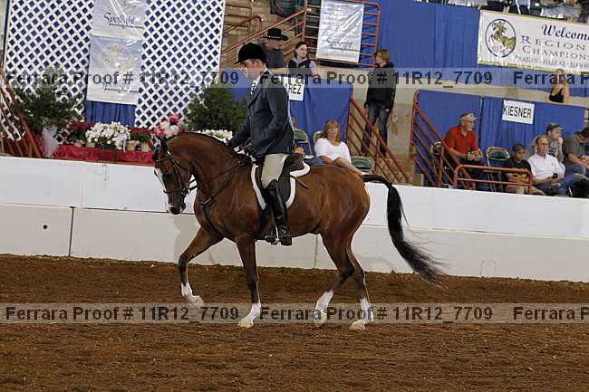 Proof Number 11r12_7709