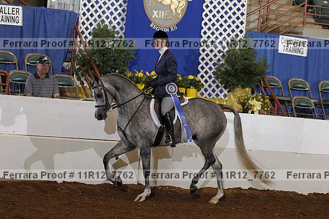 Proof Number 11r12_7762
