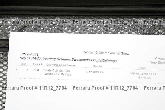 Proof Number 11r12_7784