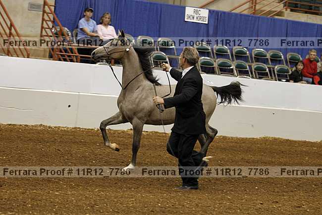 Proof Number 11r12_7786