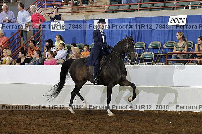 Proof Number 11r12_7848