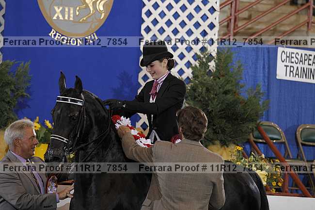 Proof Number 11r12_7854