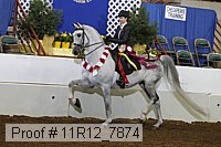 11r12_7874 thumbnail