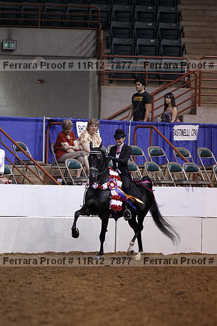 Proof Number 11r12_7877
