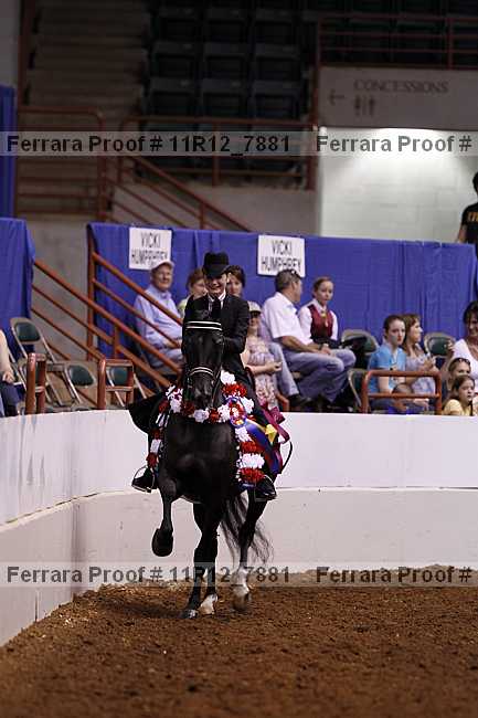Proof Number 11r12_7881