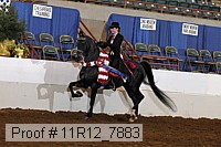 11r12_7883 thumbnail