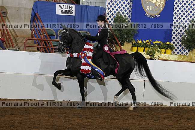Proof Number 11r12_7885