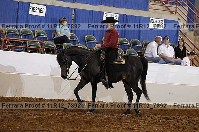 Proof Number 11r12_7892