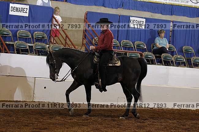 Proof Number 11r12_7893