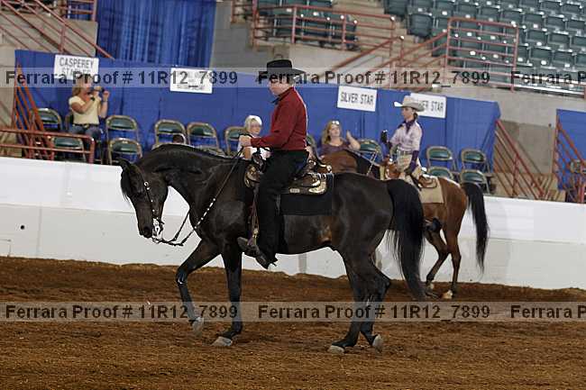 Proof Number 11r12_7899