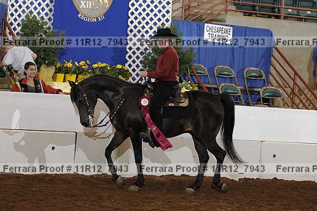 Proof Number 11r12_7943
