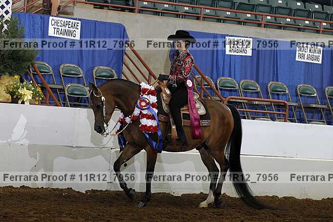 Proof Number 11r12_7956
