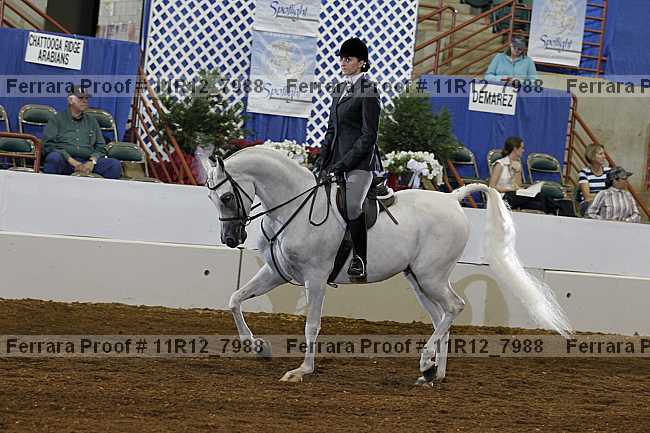 Proof Number 11r12_7988