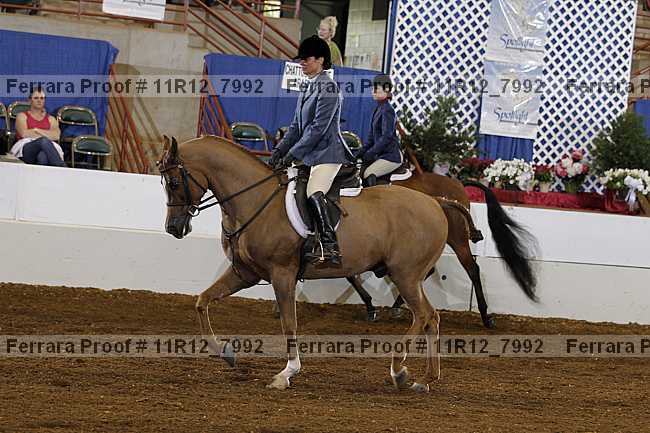 Proof Number 11r12_7992