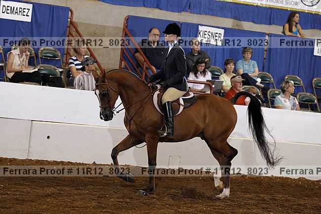 Proof Number 11r12_8023