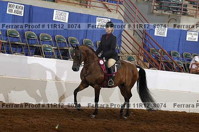 Proof Number 11r12_8074