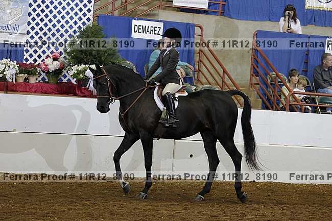 Proof Number 11r12_8190