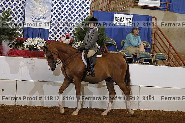 Proof Number 11r12_8191