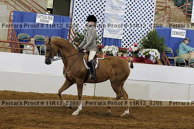 Proof Number 11r12_8208