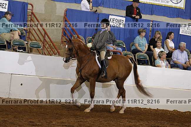 Proof Number 11r12_8216