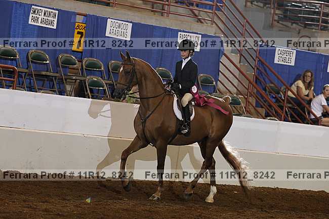 Proof Number 11r12_8242