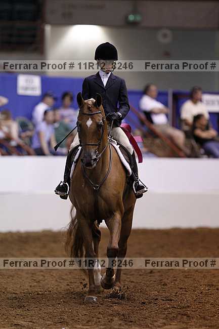 Proof Number 11r12_8246
