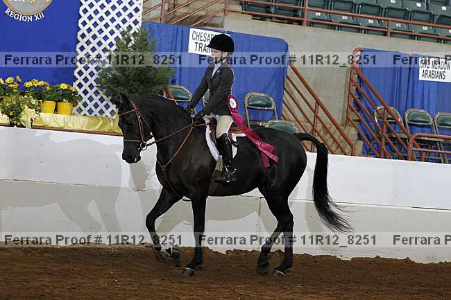 Proof Number 11r12_8251