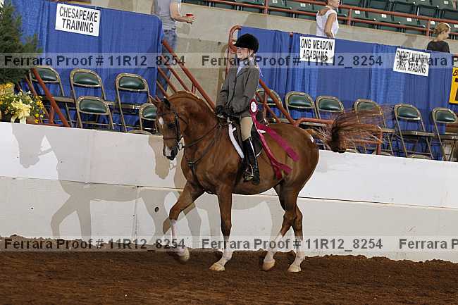 Proof Number 11r12_8254