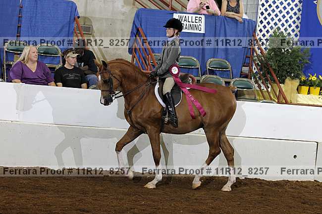 Proof Number 11r12_8257