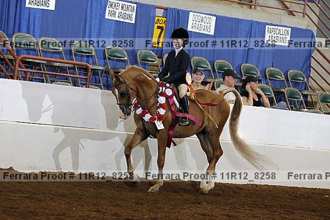 Proof Number 11r12_8258