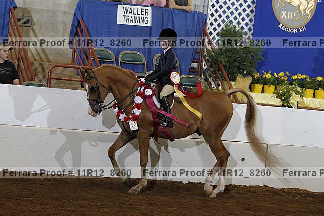 Proof Number 11r12_8260