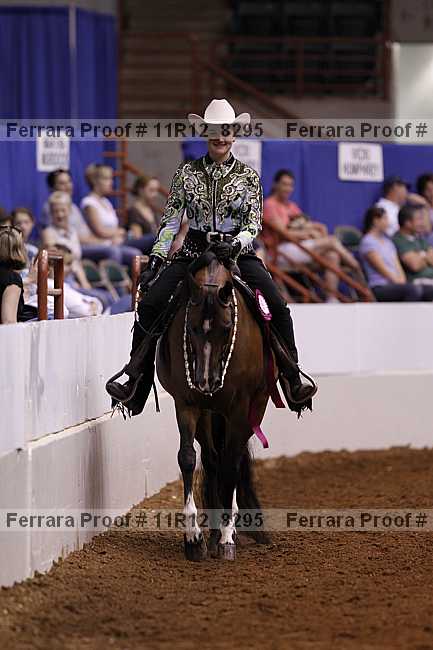 Proof Number 11r12_8295