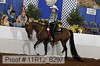 11r12_8297 thumbnail