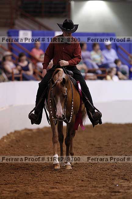 Proof Number 11r12_8300