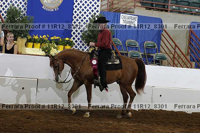 Proof Number 11r12_8301